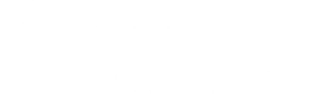 Premier Plumbers Logo