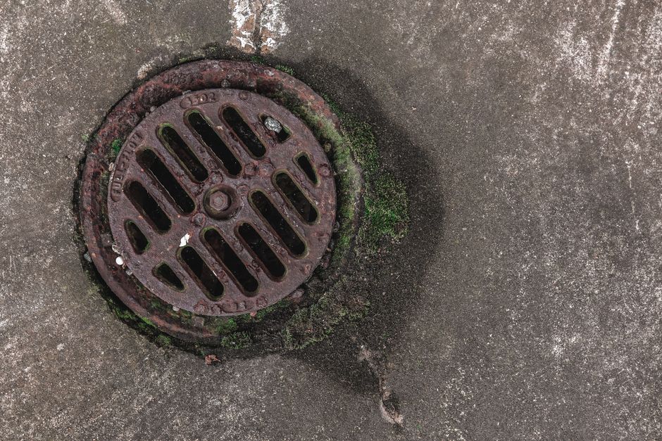 unclog shower drain